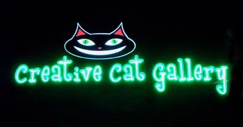 creative cat sign